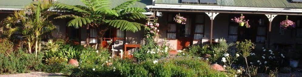 African Sun Guest House George Eksteriør billede
