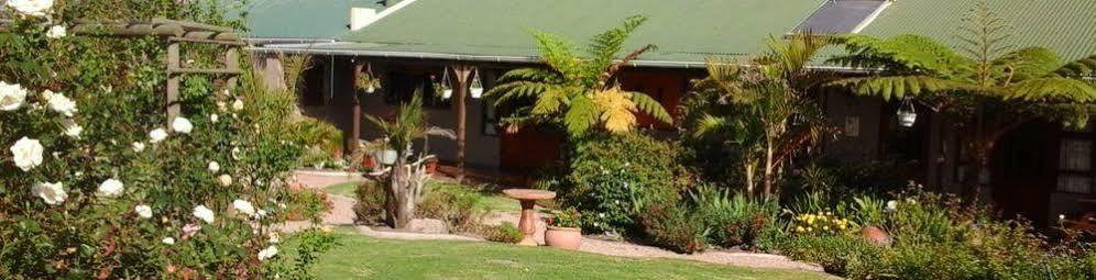 African Sun Guest House George Eksteriør billede